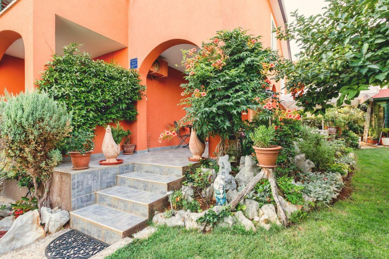Apartments Mirjana Novigrad  Екстер'єр фото