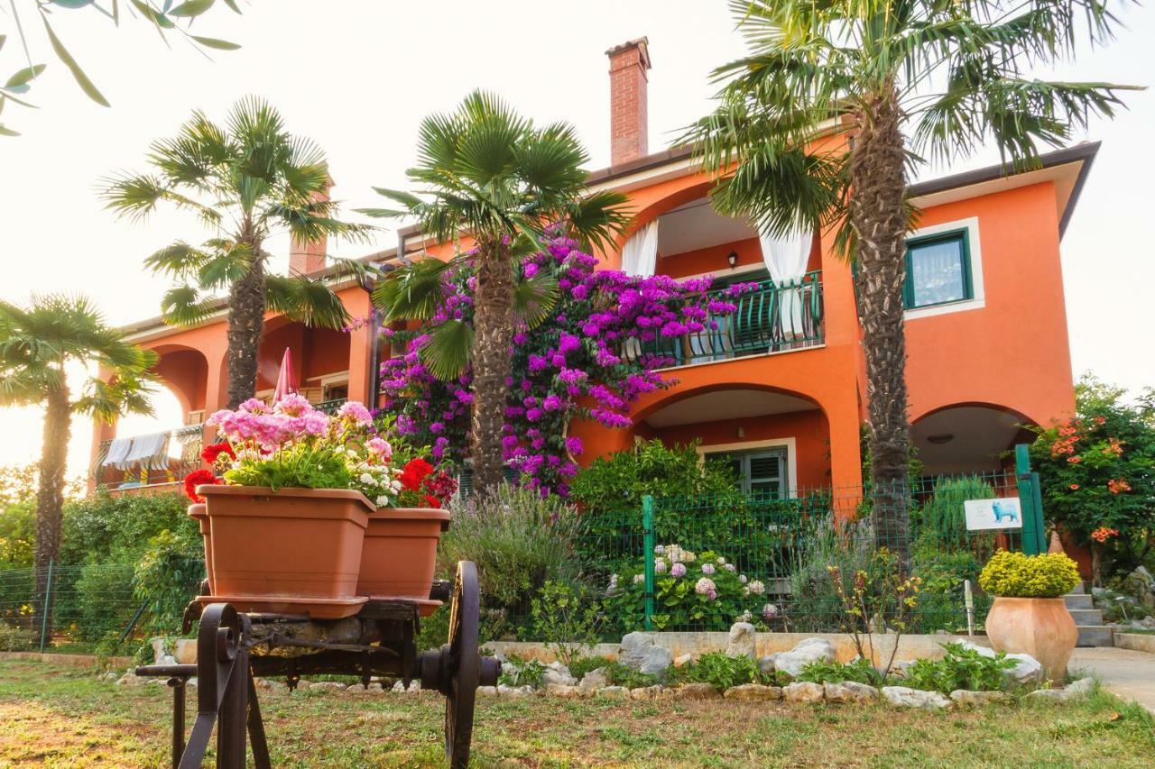 Apartments Mirjana Novigrad  Екстер'єр фото